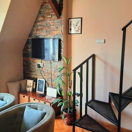 Appartamento Duplex studio Mansarda Belgrado Esterno foto